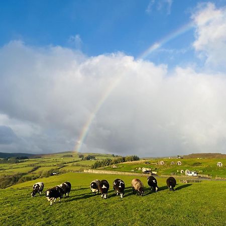 Shepherds View Rhayader Eksteriør bilde