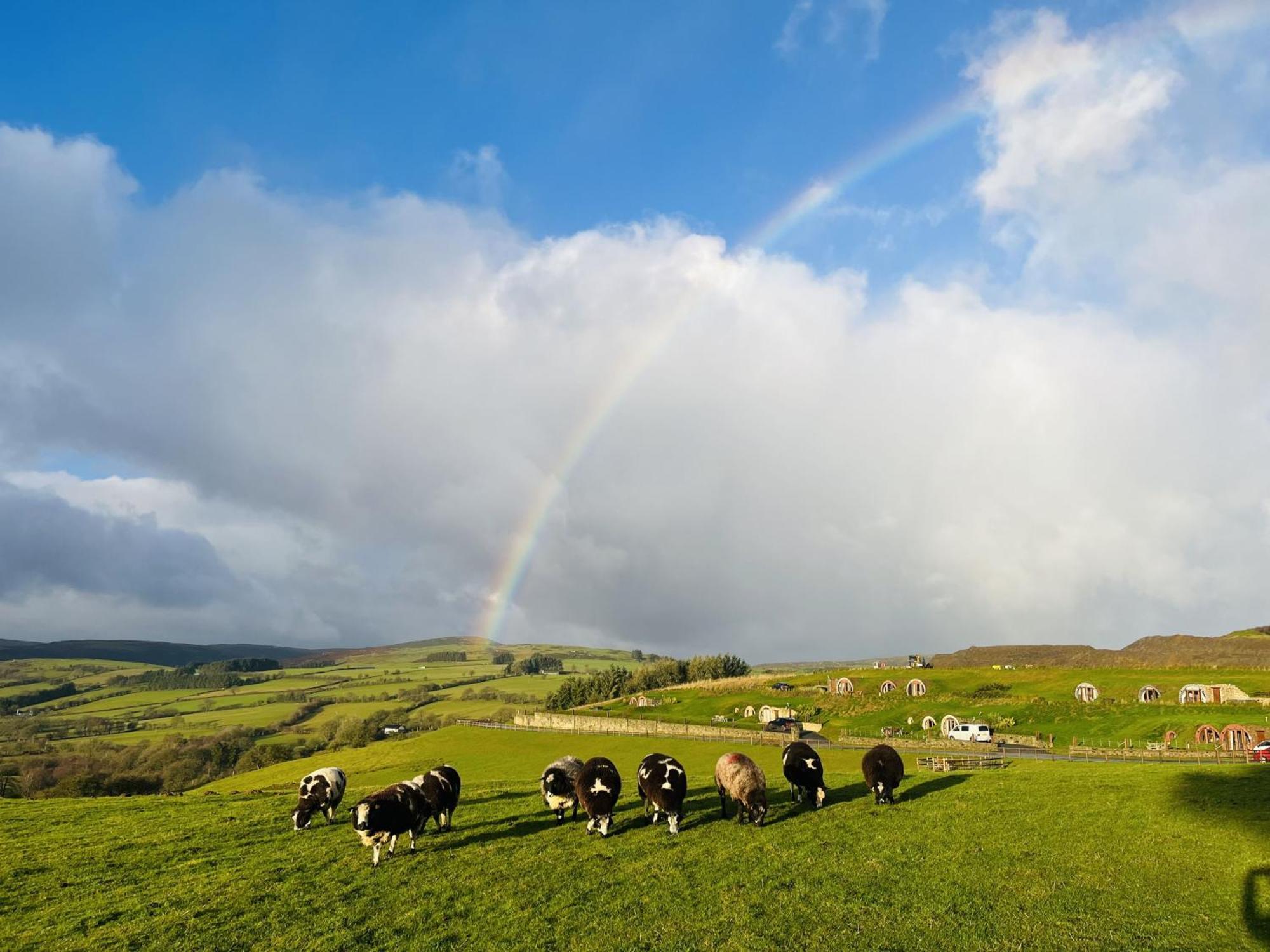 Shepherds View Rhayader Eksteriør bilde